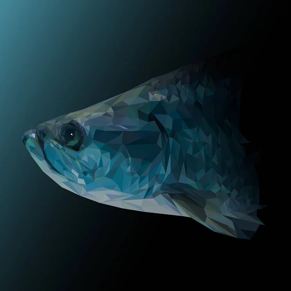 Peixe azul animal design poli baixo . — Fotografia de Stock
