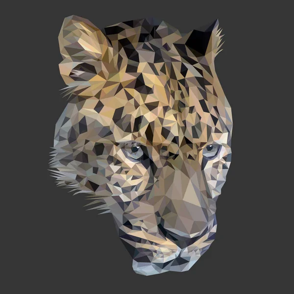 Cheetah gato design poli baixo . — Fotografia de Stock