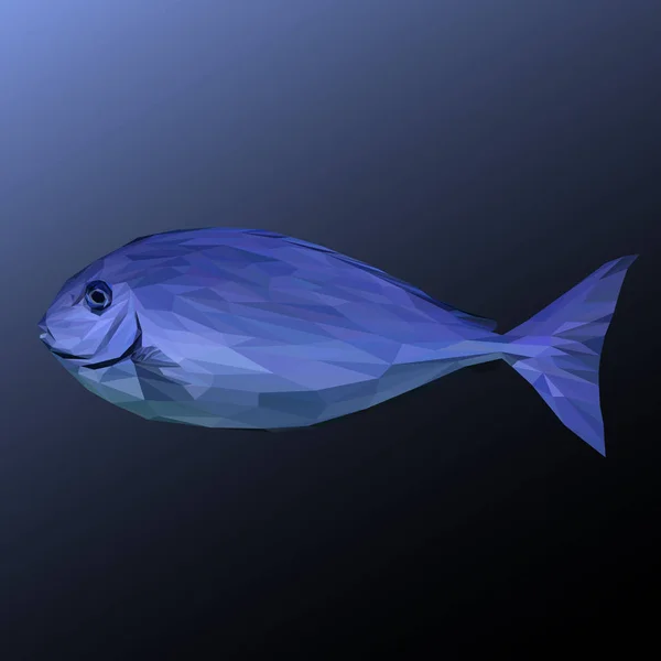 Blå fisk animaliskt låg poly design. — Stockfoto
