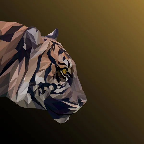 Тигр низький полімерний дизайн . — стокове фото
