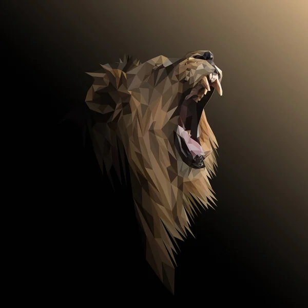 Lion nízké poly design. — Stock fotografie