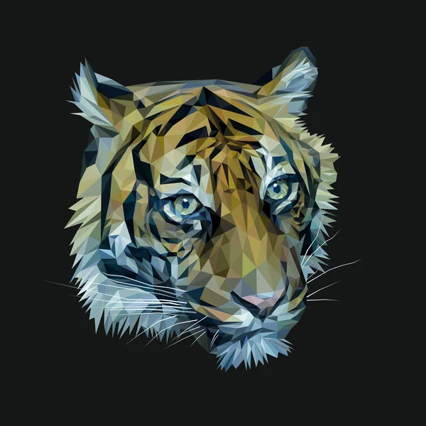 Tygr nízké poly design. — Stock fotografie