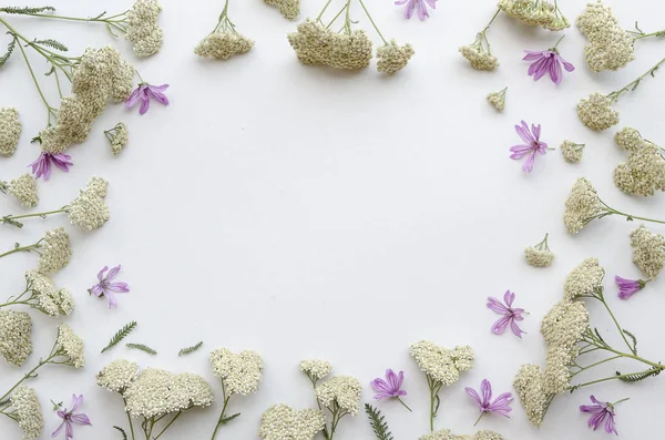 Flower frame of wildflowers on white background. Flat lay, Top view. floral mockup lettering template