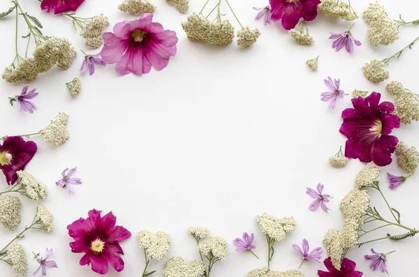 Flower frame of wildflowers on white background. Flat lay, Top view. floral mockup lettering template
