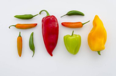 Üstten görünüm düzenlenmiş farklı türü beyaz bir arka plan üzerinde izole portakal kırmızı sarı yeşil biber. Tasarım etiketleri, menü mutfak tarifi dolmalık biber