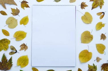 Sonbahar mockup şablonu Not defteri çizmek albüm fot, resim, sanat, el yazı beyaz arka plan üzerinde kopya alanı izole kuru renkli yaprakları düzenlenmiştir. Düz yatıyordu, en iyi görünümü.