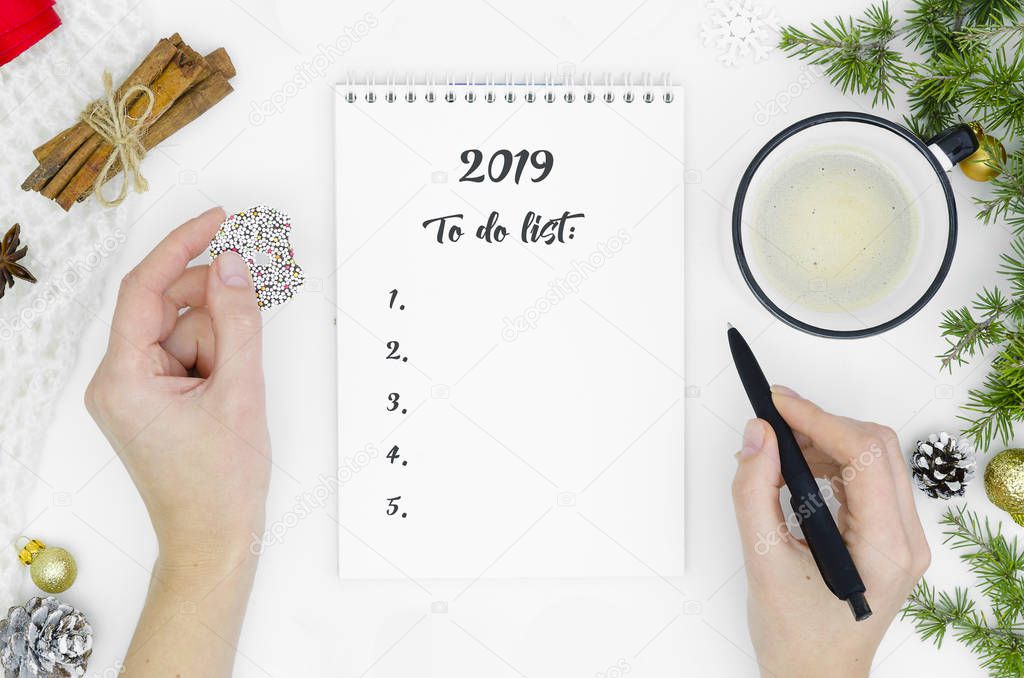 2019 New Years concept. Top view of women hands writing goal to do list for new year or Christmas on notebook with fir tree branches, cinnamon sticks decorations on white table. Copy space. Flat lay.