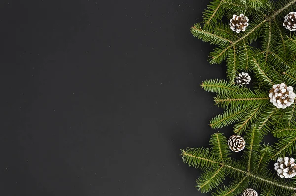 Christmas gränsen - trädgrenar med vita hand målade kottar isolerad på svart, platt lekmanna banner mock-up rätt orienterad. Xmas nyår bakgrund — Stockfoto