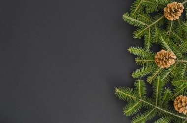 Noel sınır - ağaç dalları ile siyah, düz yatıyordu afiş mock-up şu odaklı izole çam kozalakları. Xmas yeni yıl arka plan