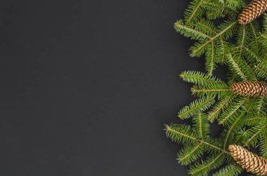 Noel sınır - ağaç dalları üzerinde siyah, düz yatıyordu afiş mock-up izole çam kozalakları ile