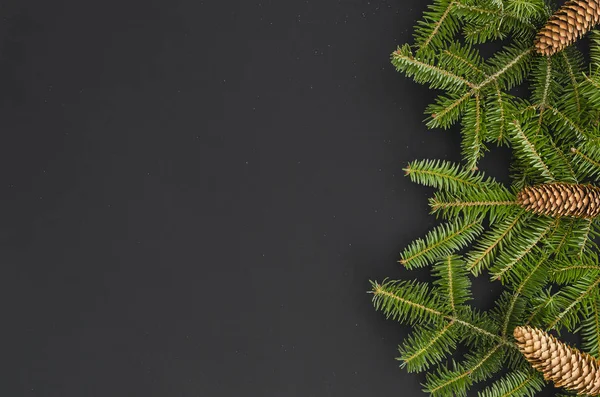 Christmas Border - tree branches with pine cones isolated on black, Flat lay banner mock-up