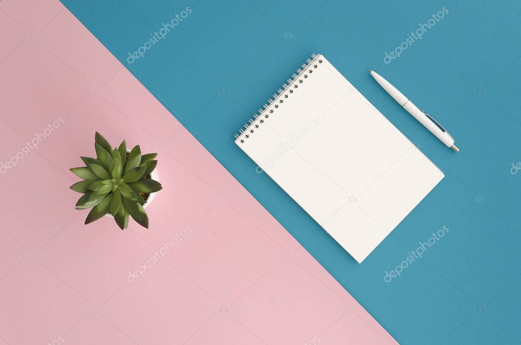 Succulent and notebook on two colour vibrant duotone background. Fashionable colors, pink and blue. Minimal concept mock-up. Top view with copy space, flat lay.