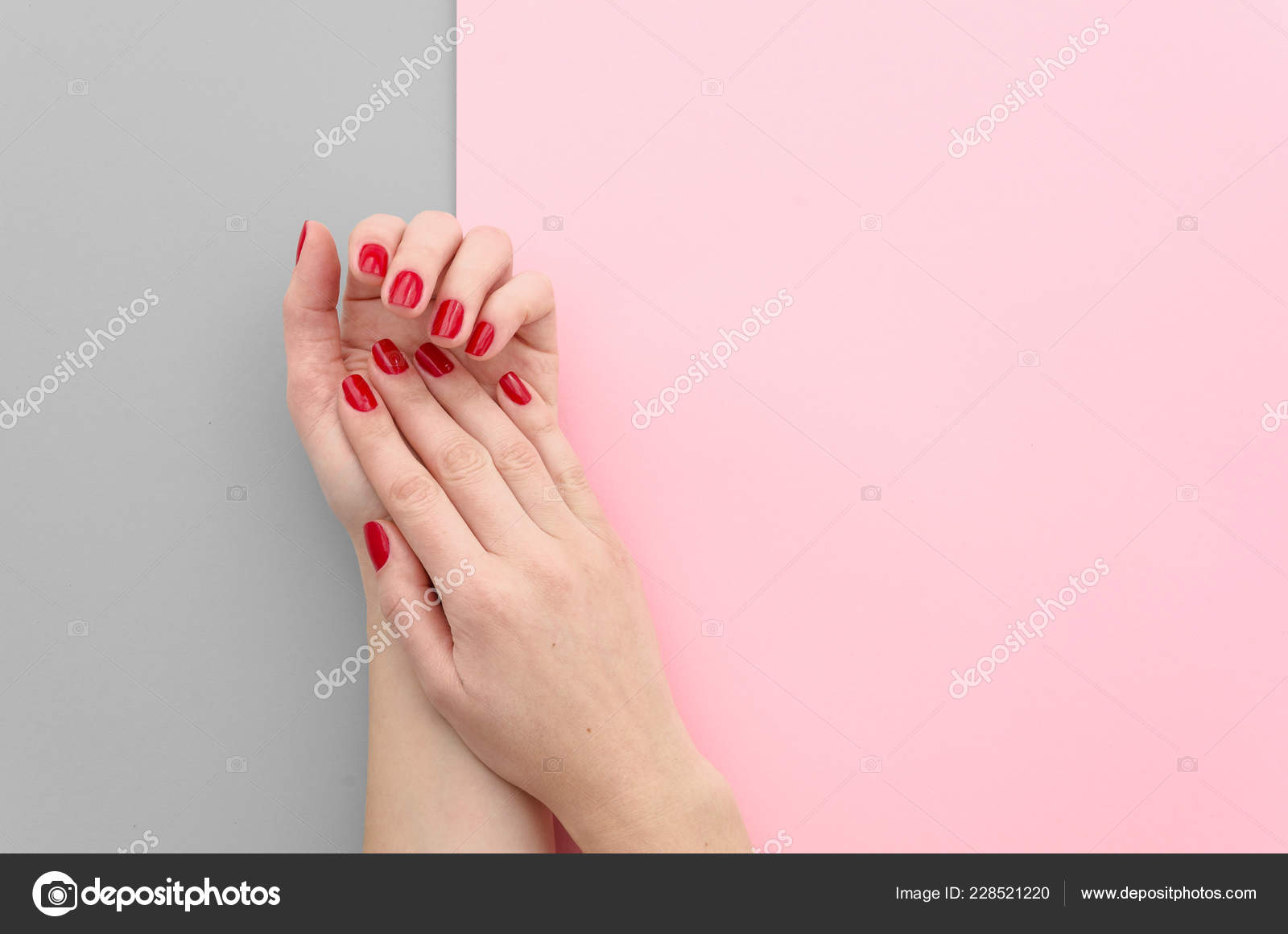 Download Closeup Photo Of A Beautiful Female Hands With Red Nails On Bright Split Duotone Color Background Grey And Pink Trendy Flat Lay Beautiful Manicure Mock Up Stock Photo Image By C
