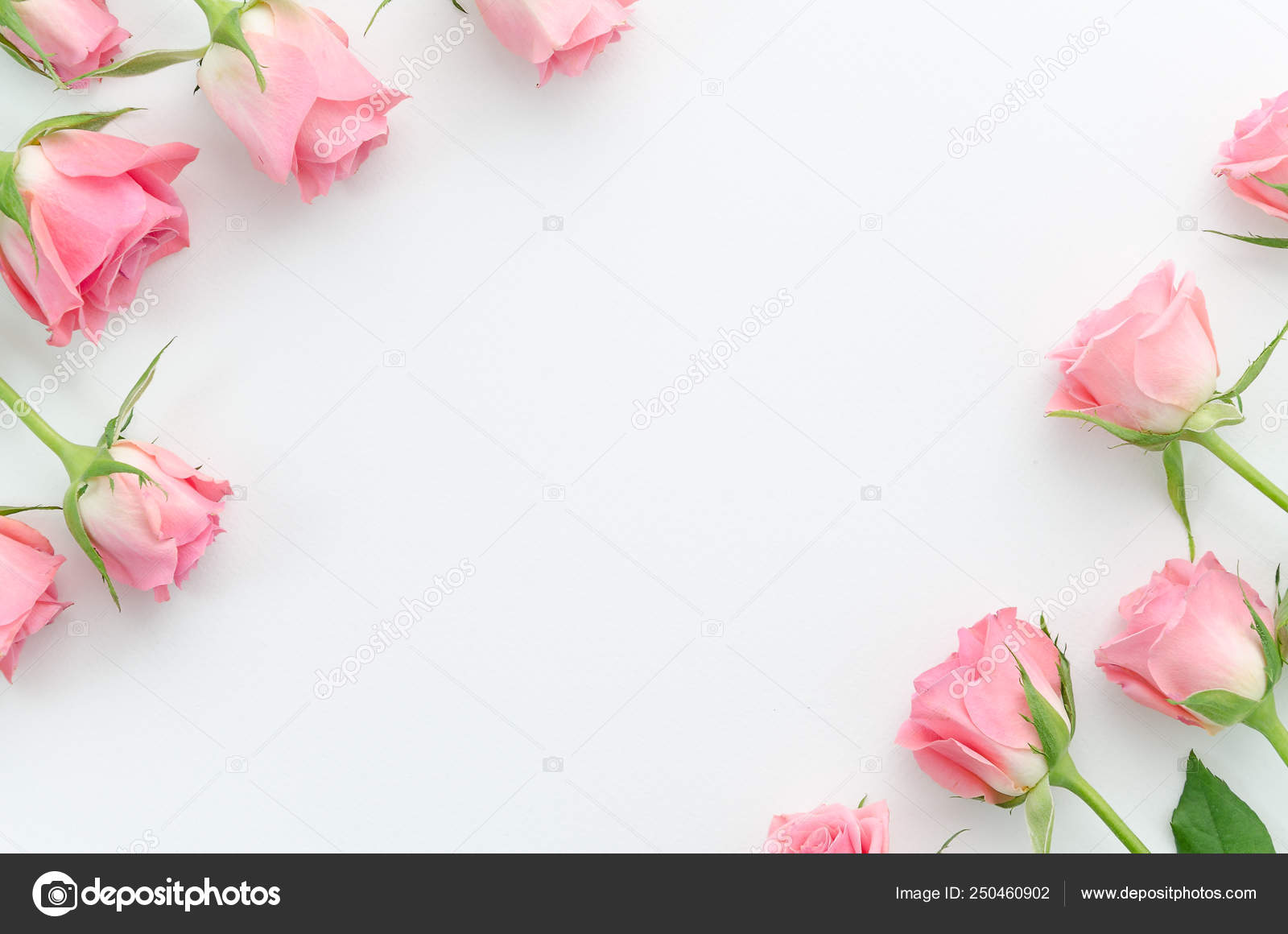 Pink Floral Paper With White Lace Border Stock Photo - Download Image Now -  Close-up, Cut Out, Decoration - iStock