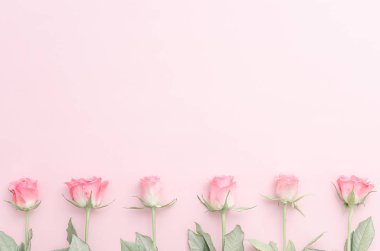 Festival gül bud çiçek kompozisyon pastel pembe arka plan üzerinde. Ek yükü üstten görünüm, düz yatıyordu. Uzay kopyalayın. Doğum günü, anne, Sevgililer, kadın, düğün günü kavramı.