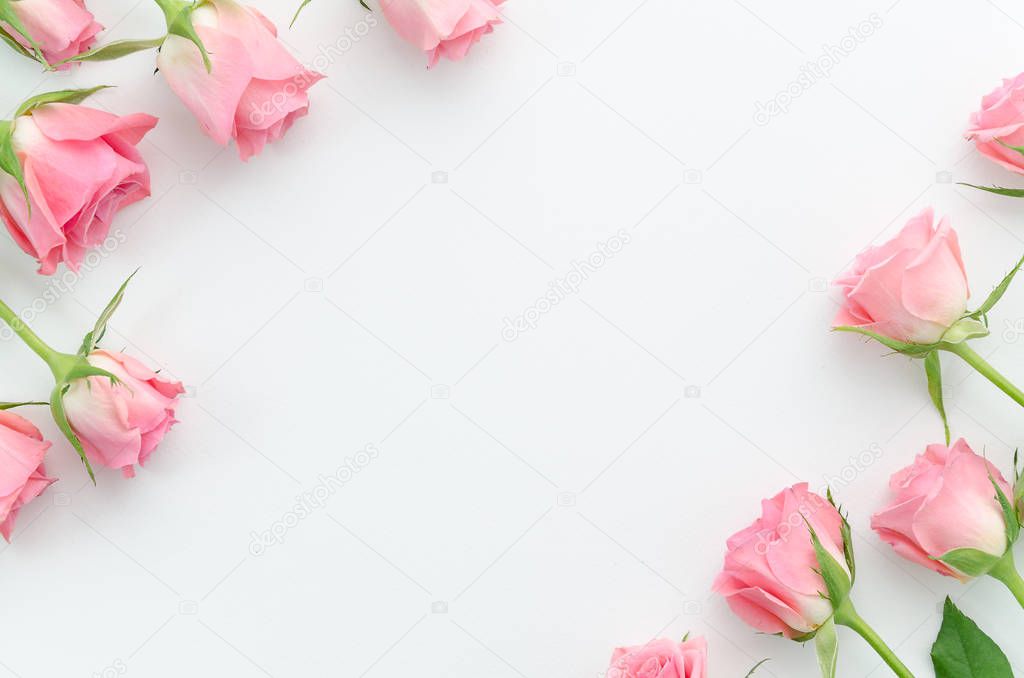 Floral pattern, frame made of beautiful pink roses on white background. Flat lay, top view. Valentines background. Floral frame. Frame of flowers. Flowers texture