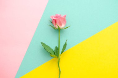 Tebrik kartı. Çok renkli kağıt geometrik arka plan üzerinde tek pembe Gül çiçek.