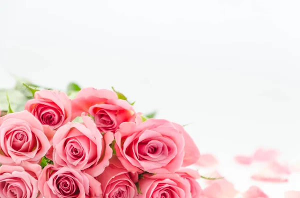 Ροζ τριαντάφυλλα και ροδοπέταλα σε λευκό θολό φόντο με χώρο αντιγραφής. Κλείσε, λουλούδια. Η πρόσκληση. Συγχαρητήρια για το πρότυπο καρτών, συγχαρητηρίων. — Φωτογραφία Αρχείου