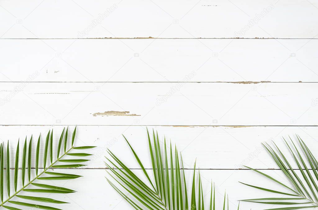 Creative layout made of colorful tropical palm leaves on white wooden background. Minimal summer exotic concept with copy space