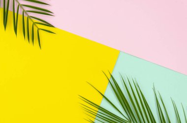 Renkli pembe, nane ve sarı çok renkli pop arka plan köşelerinde yatan tropikal palmiye yapraklarından yapılmış düz yatıyordu