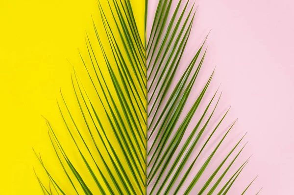 L'été arrive concept pop art. Feuille de palmier vue du dessus sur fond jaune et rose clair — Photo