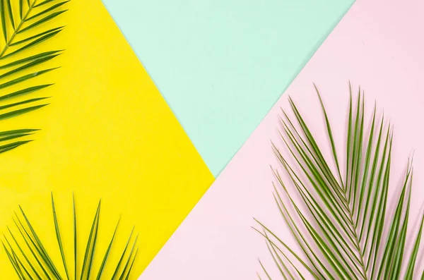 Flat lay palm leaves on yellow and light pink pop background. Lying on corners with copy space