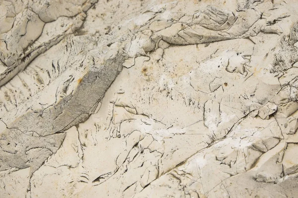 Metnin için beyaz kaya üst görünümü yatay doku arkaplanı — Stok fotoğraf