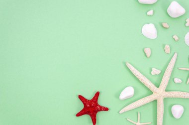 Tropik plaj maketi. Metin için kopya alanı ile köşedeki en iyi görüntü denizyıldızları, deniz kabukları ve kayalar