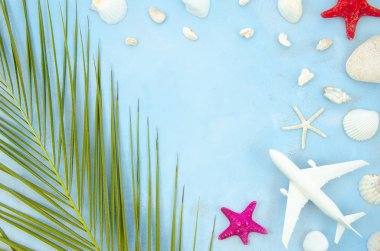Denizyıldızı ve deniz kabukları ile çerçeve mockup. Yaz Düz palmiye yaprağı ve metin için kopya alanı ile yatıyordu