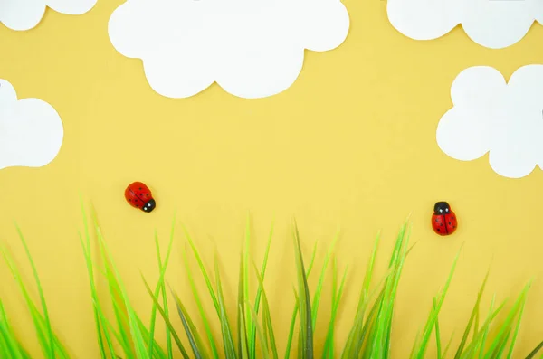 Top view cartoon ladybug models with grass and paper clouds. Flat lay with summer minimal concept — Stock Photo, Image