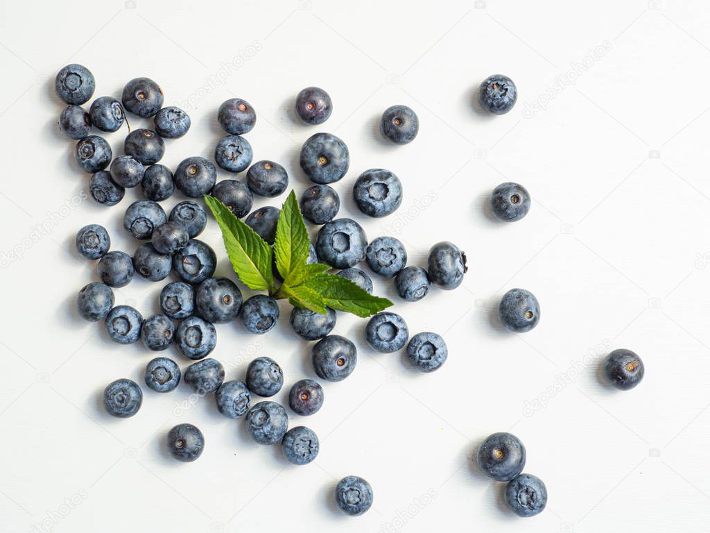 Fresh summer blueberries with a mint leaf isolated on white background