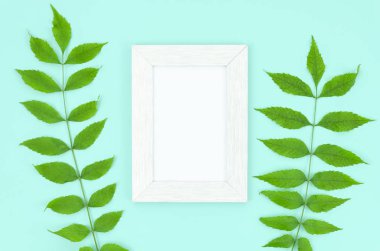 Fotoğraf çerçevesi ve iki yeşil bir nane arka plan üzerinde sınır düzenlemesi yaprakları ile yaz üst görünümü. Kopyalama alanı ile mockup