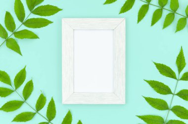 Nane arka plan üzerinde yeşil yaprakları ve beyaz photoframe düz yatıyordu çerçeve. Kopyalama alanı ile mockup