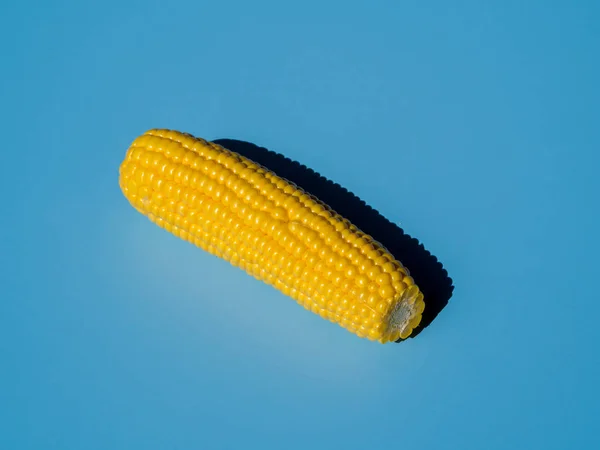 Close up single Boiled corn head. Isometric view with pop blue background and hard light — Stock Photo, Image