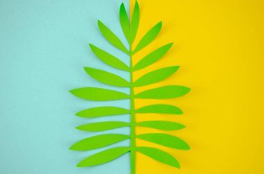 Düz bir pop tarzı sarı ve açık mavi arka plan üzerinde kağıt zanaat yaprağı ile yatıyordu