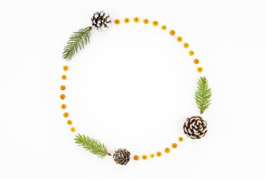 Aralık ayının çerçeve modeli noel ağacı dalları ve koniler kopya alanı ile izole edilmiş