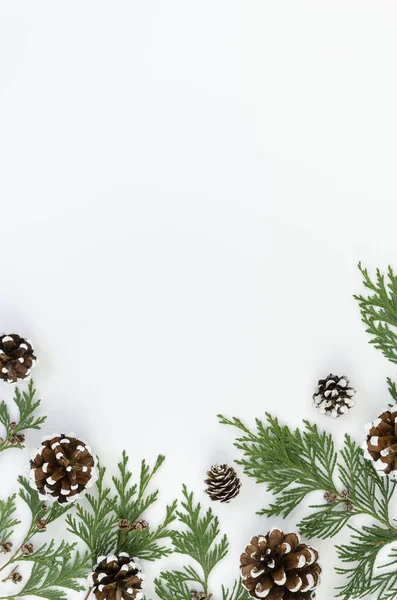 Vertikal platt låg julgran grenar med pinecones på vit bakgrund. Mockup med kopieringsutrymme för hälsning text eller xmas banner — Stockfoto