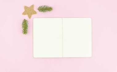 Üst görünüm Noel dekorasyonları sınırı köknar, xmas yıldızının dalından yapılmış ve listelenmek üzere açılan dizüstü bilgisayar, 2020 yeni yıl hedefleri listesi pembe arka plan