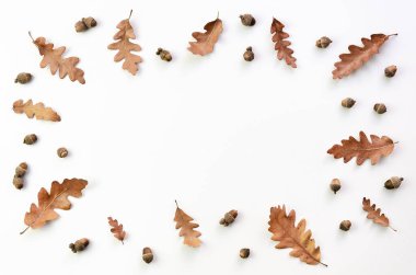 Sonbahar konsepti geliyor. Kurumuş sonbahar yaprakları, kestaneler, meşe palamutları kopya alanı ile beyaza izole edilmiş.
