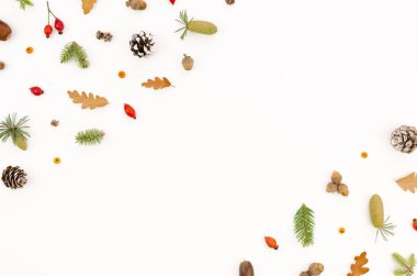 Yapraklardan, böğürtlenlerden, fındıklardan oluşan sonbahar çerçevesi beyaz arka planda. Sonbahar, sonbahar konsepti. Düz konum, üst görünüm, kopyalama alanı