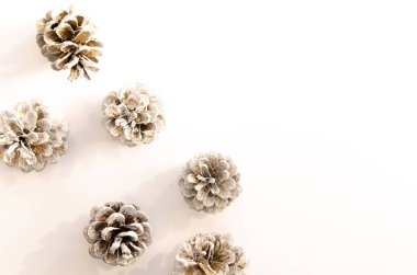 Yumuşak güneş gölgeli köşelerde çam kozalakları ve beyaz masa üzerinde kopyalama alanı olan düz bir model. Kış tanıtım konsepti