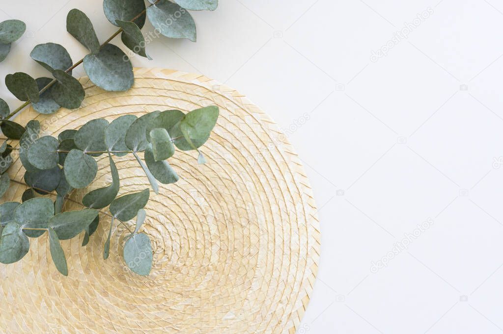 Minimal frame with branches eucalyptus and leaves on white table. Top view