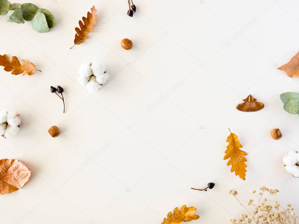 autumn is coming concept. Fall flat lay pattern arrangement with dried leaves and cotton leaves. Copy space frame