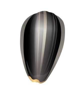 Kabuklu ayçiçeği tohumu yakın çekim