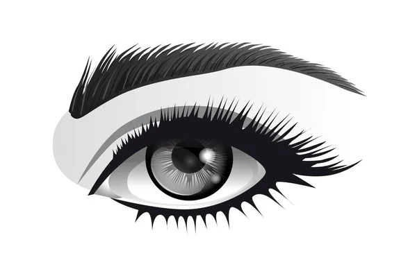 Глаз Черно Белый Векторный Рисунок — стоковый вектор