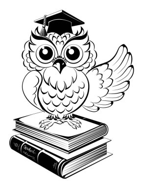 Baykuş kare akademik kap ve kitaplar