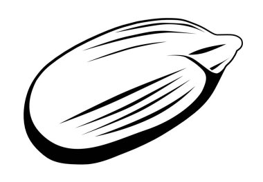 Ayçiçeği tohumu Çekirdek. Vektör çizimi.