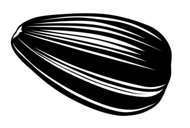 Kabuk Ayçiçeği Tohumu. Vektör çizimi.