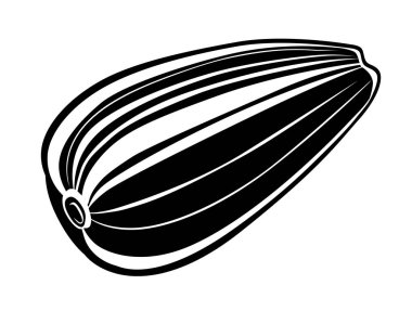 Kabuk Ayçiçeği Tohumu. Vektör çizimi.