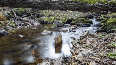 Ekstremadura deresi, İspanya